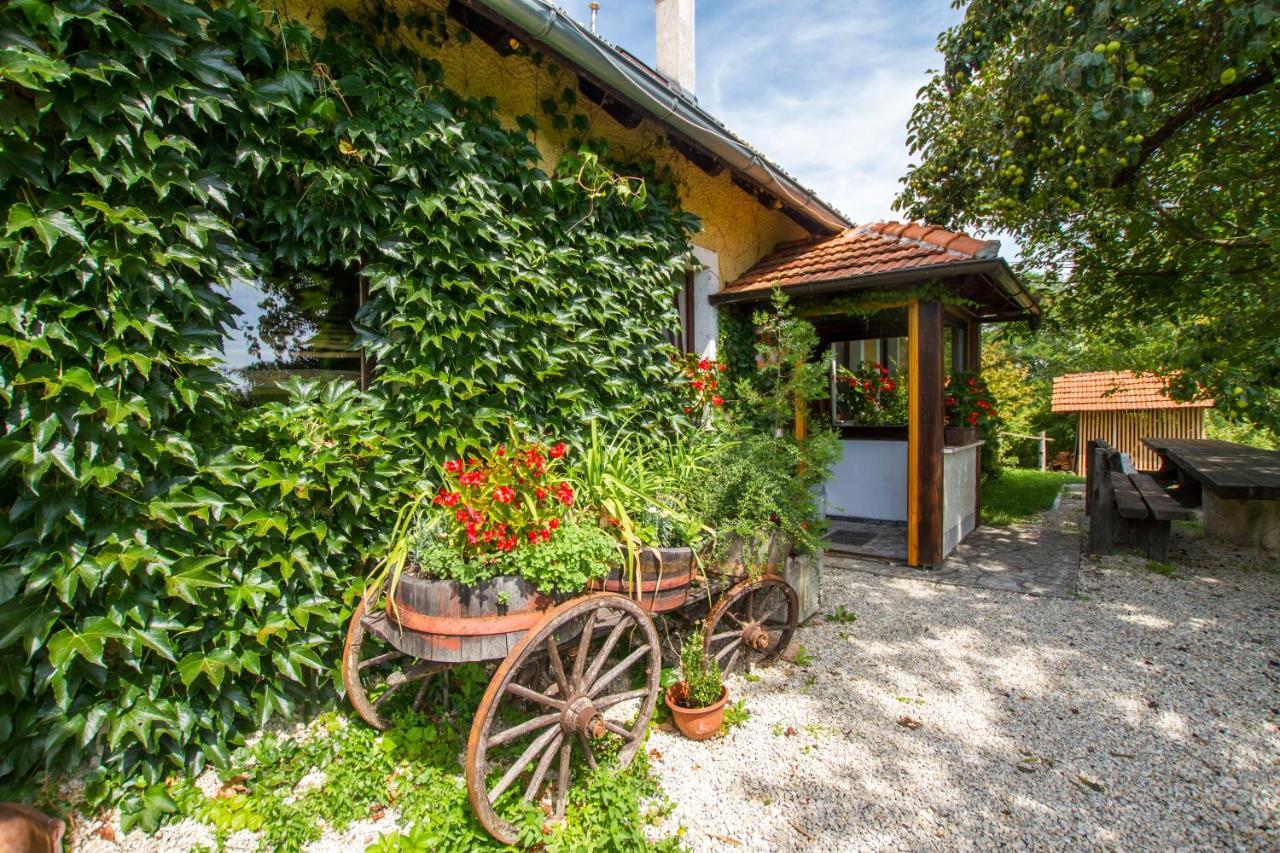 Holiday Home Juricko With Private Sauna Bizeljsko Eksteriør bilde
